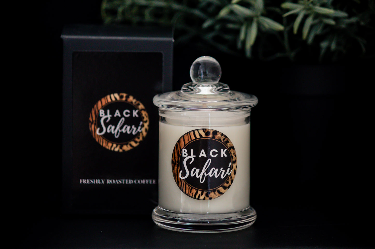 Freshly Roasted Coffee Scented Candle